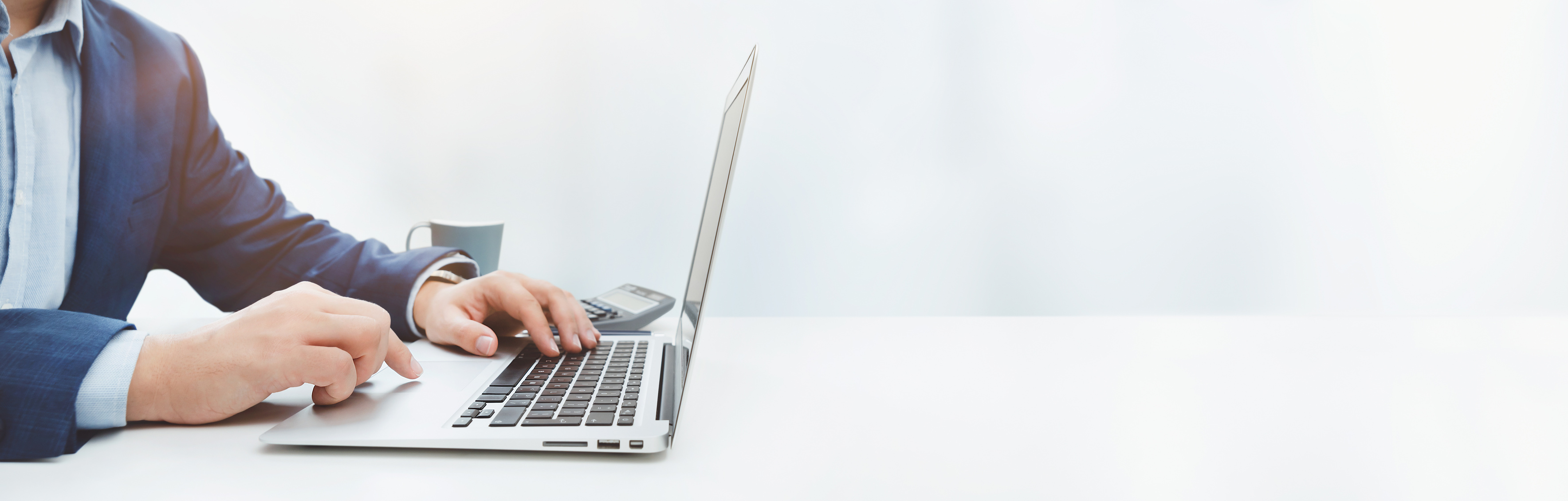 Businessman, accountant working in office